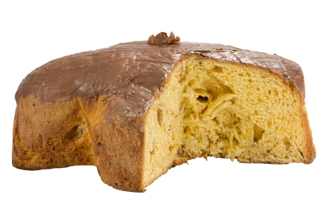 Chestnut Colomba